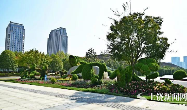 上饶信江花卉市场? 上饶信江花卉市场地址!