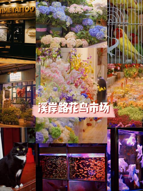 厦门花卉市场招聘? 厦门花卉市场招聘信息!